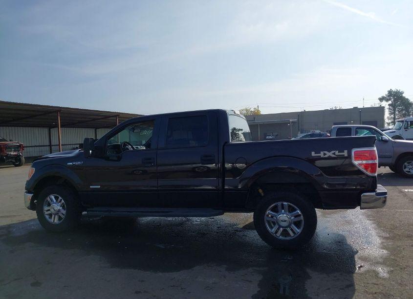 Photo 14 of 2013 Ford F-150 XLT (VIN 1FTFW1ET7DFB24089)