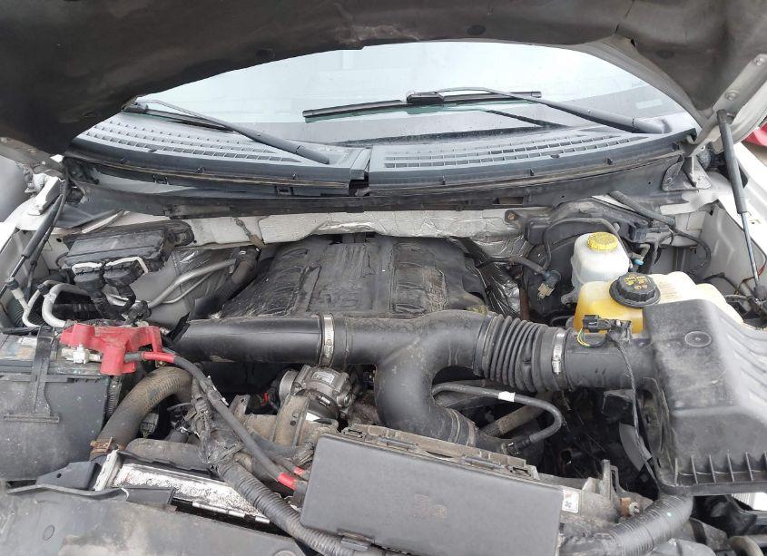 Photo 10 of 2013 Ford F-150 XLT (VIN 1FTFW1ET7DFD25331)