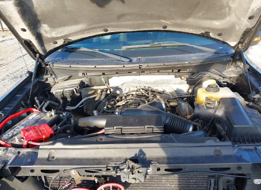 Photo 10 of 2013 Ford F-150 FX4 (VIN 1FTFW1ET7DFD32814)