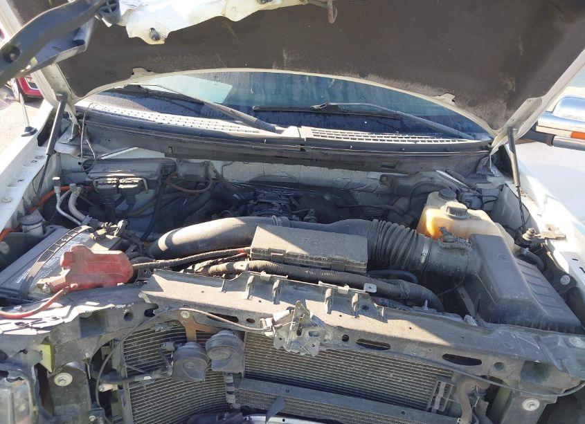 Photo 10 of 2013 Ford F-150 FX4 (VIN 1FTFW1ET7DKD94236)