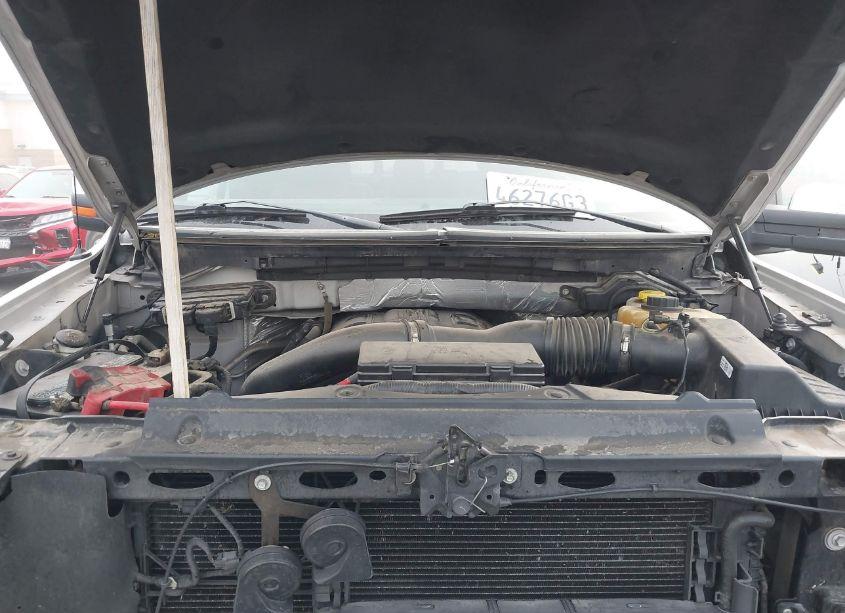 Photo 10 of 2014 Ford F-150 PLATINUM (VIN 1FTFW1ET7EFC33119)