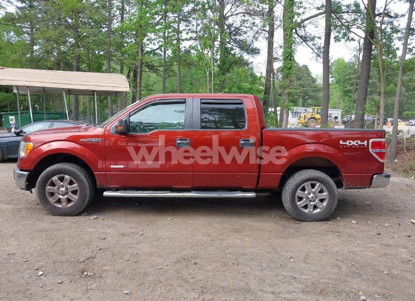 Photo 14 of 2014 Ford F-150 XLT (VIN 1FTFW1ET7EKE62116)