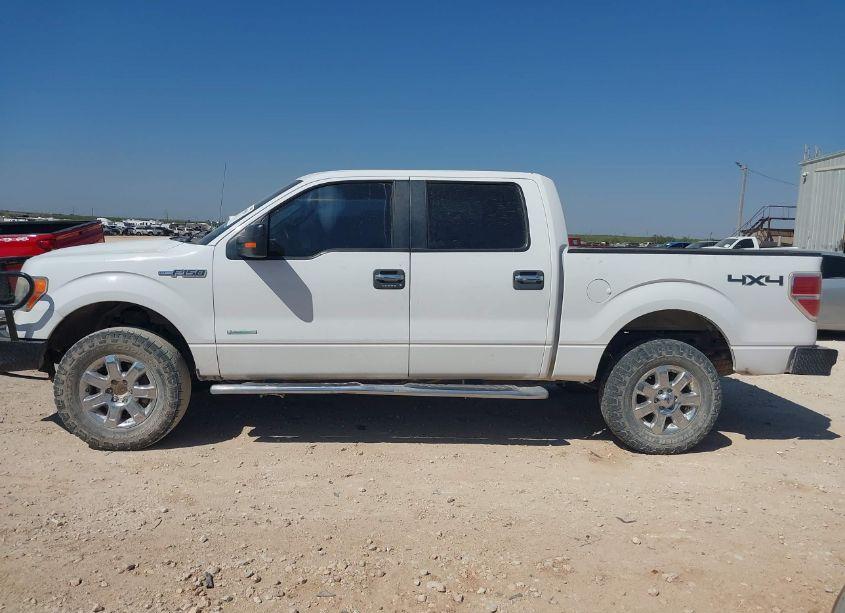 Photo 14 of 2014 Ford F-150 XLT (VIN 1FTFW1ET7EKF30544)