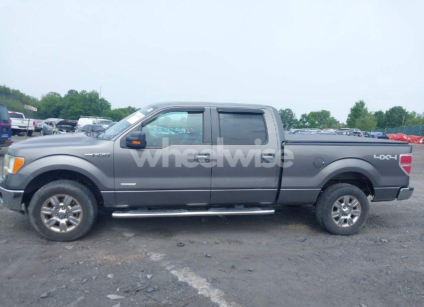 Photo 14 of 2011 Ford F-150 XLT (VIN 1FTFW1ET8BFD05957)