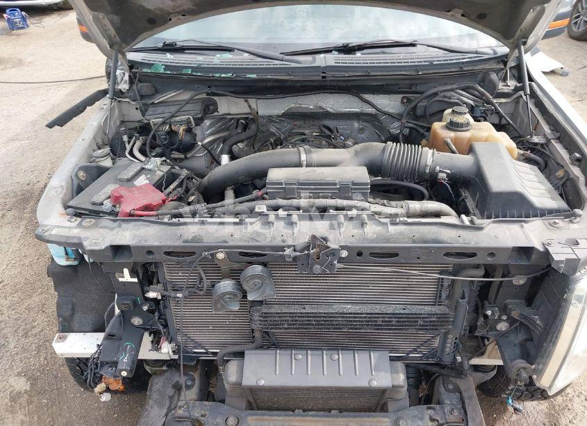 Photo 10 of 2011 Ford F-150 PLATINUM (VIN 1FTFW1ET8BFD18868)