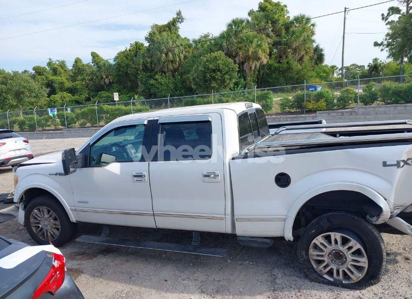 Photo 14 of 2011 Ford F-150 PLATINUM (VIN 1FTFW1ET8BFD22161)