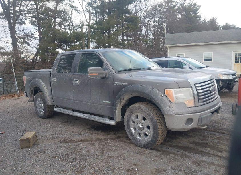 2011 Ford F-150 XLT (VIN 1FTFW1ET8BKE07721) main photo
