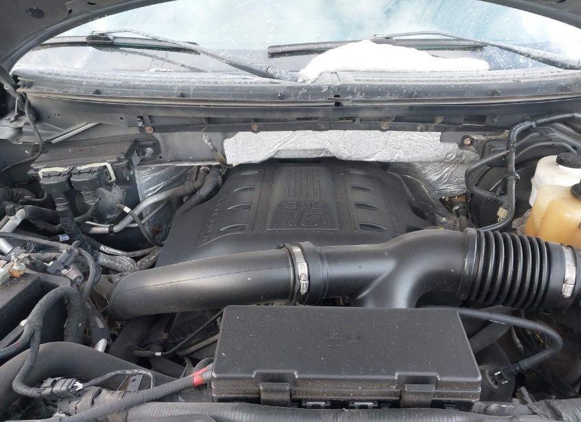 Photo 10 of 2011 Ford F-150 XLT (VIN 1FTFW1ET8BKE07721)