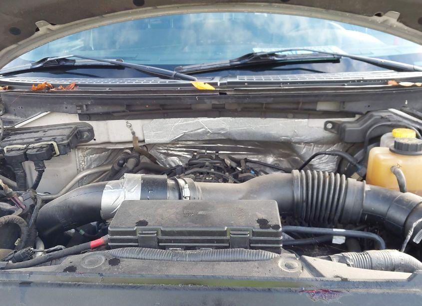 Photo 10 of 2013 Ford F-150 XLT (VIN 1FTFW1ET8DFD62811)