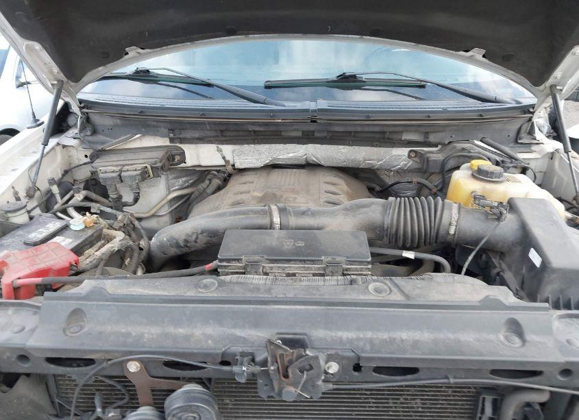 Photo 10 of 2014 Ford F-150 XLT (VIN 1FTFW1ET8EFD06191)