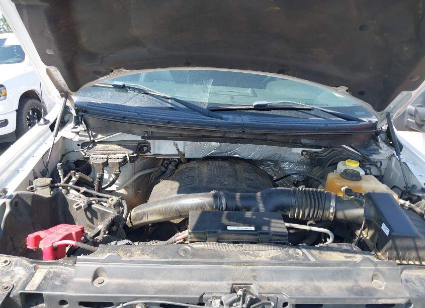 Photo 10 of 2014 Ford F-150 FX4 (VIN 1FTFW1ET8EKE37676)