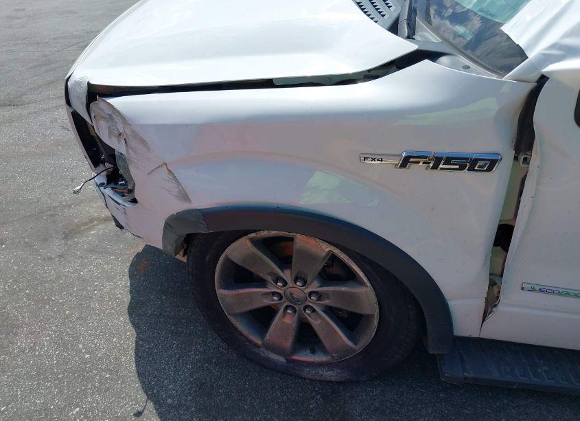 Photo 17 of 2014 Ford F-150 FX4 (VIN 1FTFW1ET8EKE37676)