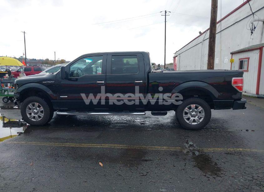 Photo 14 of 2011 Ford F-150 XLT (VIN 1FTFW1ET9BFB07310)