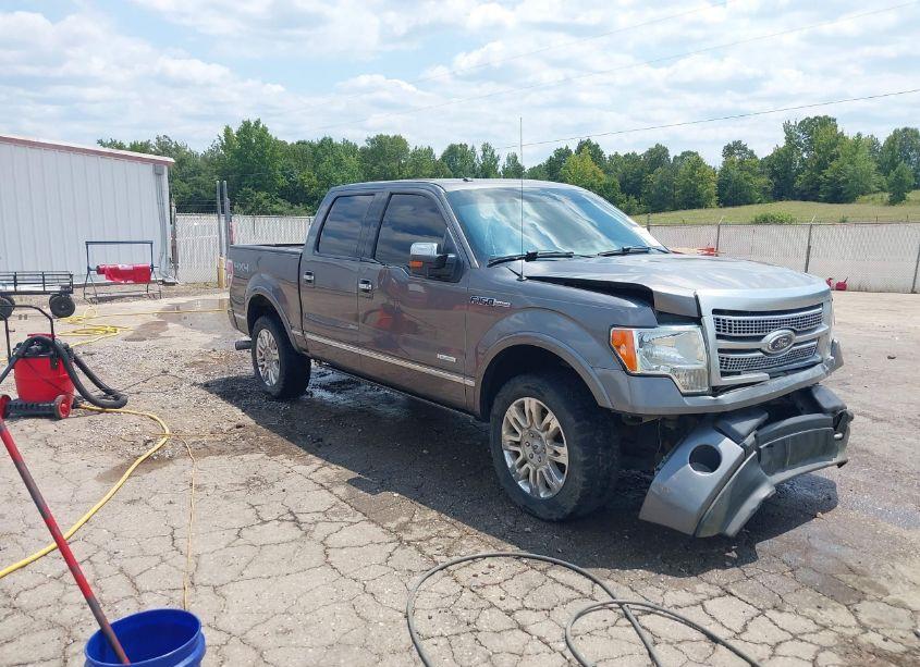 2011 Ford F-150 PLATINUM (VIN 1FTFW1ET9BFD02792) main photo