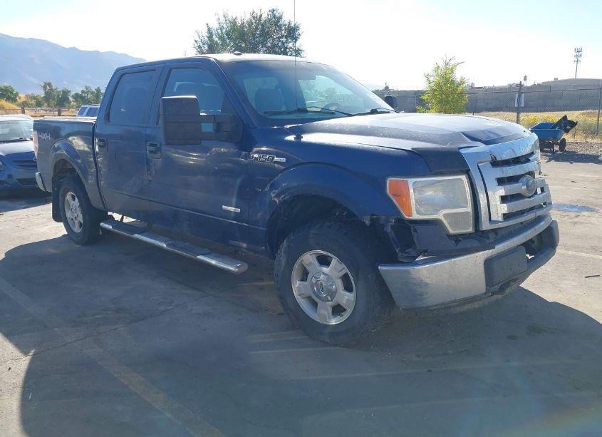 2012 Ford F-150 XLT (VIN 1FTFW1ET9CFA76061) main photo