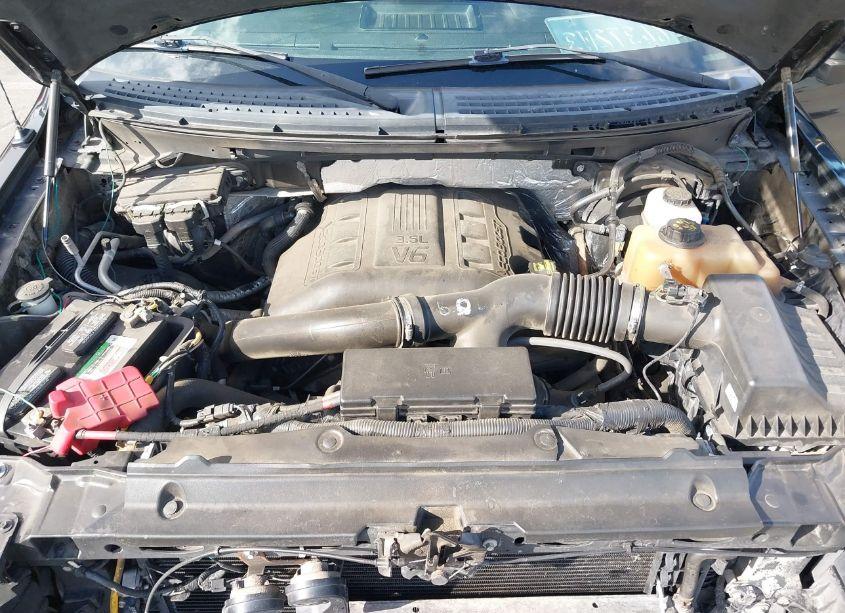 Photo 10 of 2012 Ford F-150 FX4 (VIN 1FTFW1ET9CFB66391)