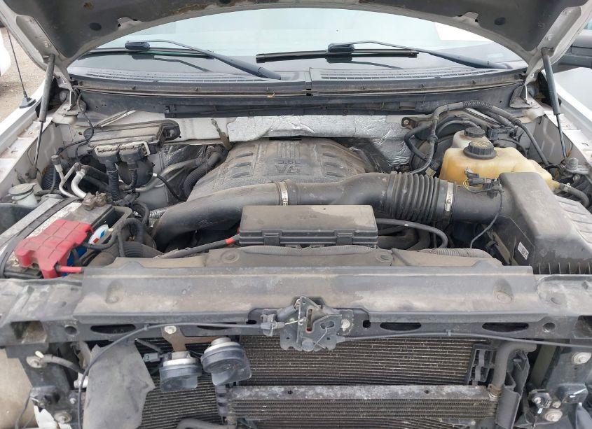 Photo 10 of 2012 Ford F-150 XLT (VIN 1FTFW1ET9CFC07568)