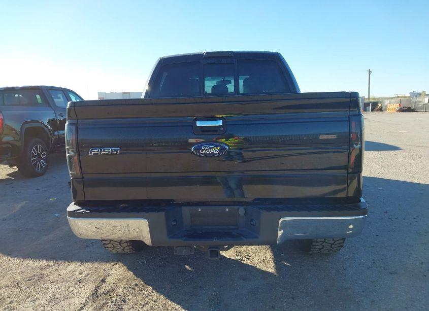 Photo 17 of 2013 Ford F-150 XLT (VIN 1FTFW1ET9DFD09924)