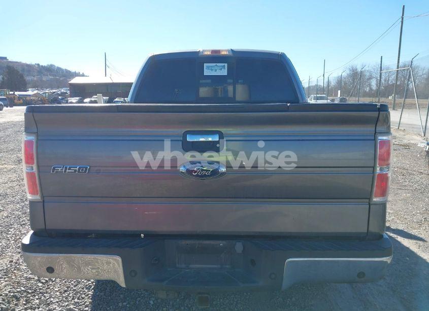 Photo 16 of 2013 Ford F-150 XLT (VIN 1FTFW1ET9DFD38517)