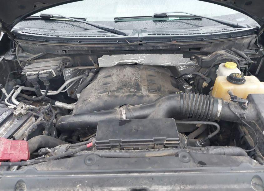 Photo 10 of 2013 Ford F-150 FX4 (VIN 1FTFW1ET9DKF64659)