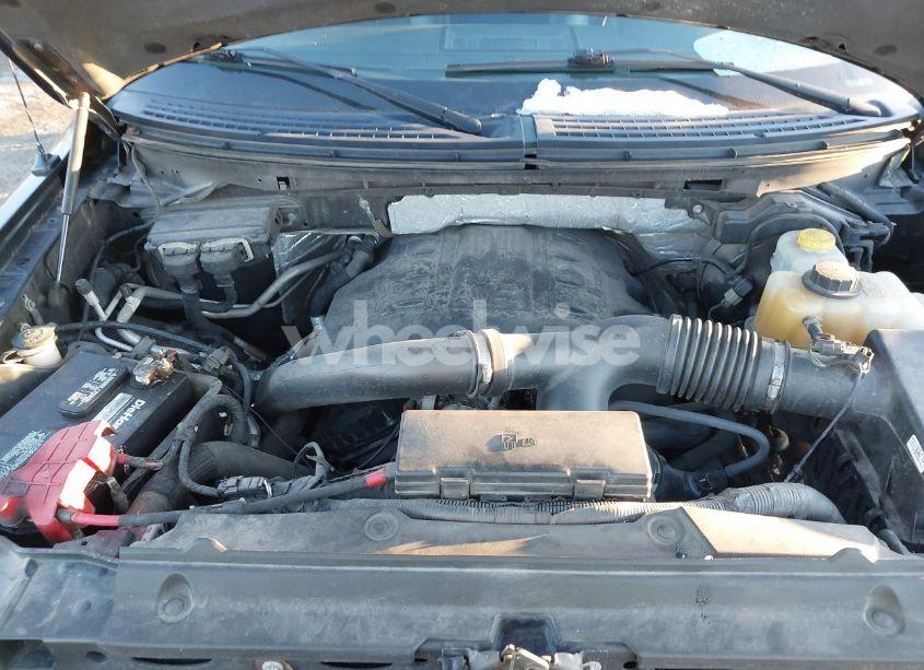 Photo 10 of 2014 Ford F-150 PLATINUM (VIN 1FTFW1ETXEFA34517)