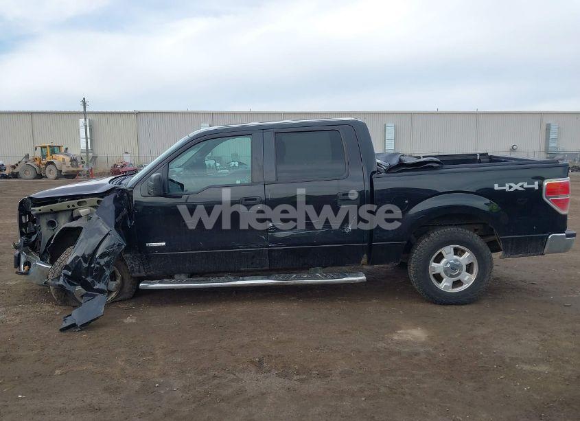 Photo 14 of 2014 Ford F-150 XLT (VIN 1FTFW1ETXEFC11518)