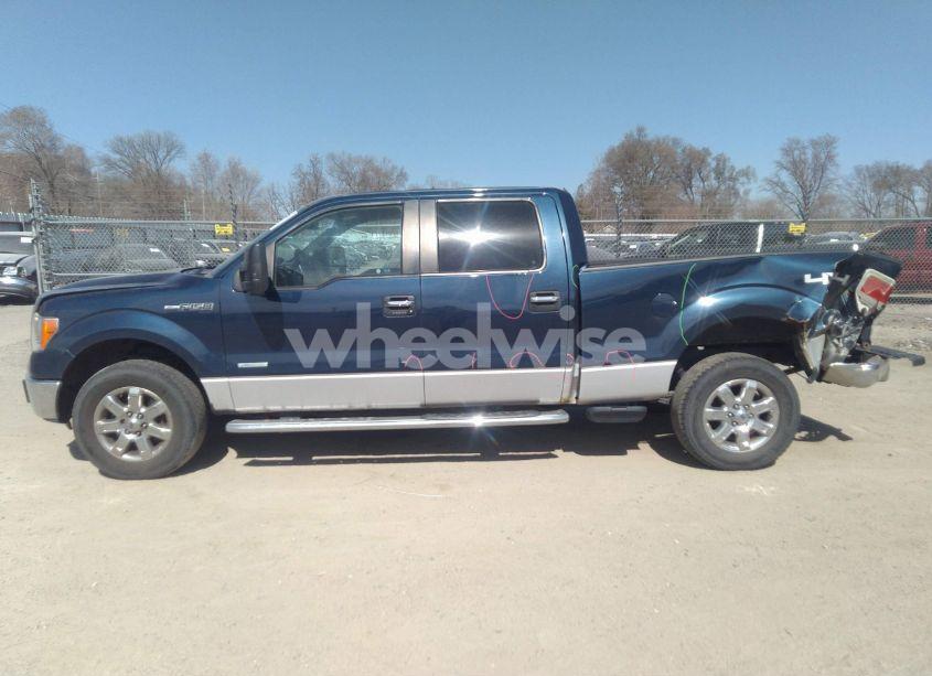 Photo 14 of 2014 Ford F-150 XLT (VIN 1FTFW1ETXEKE51384)