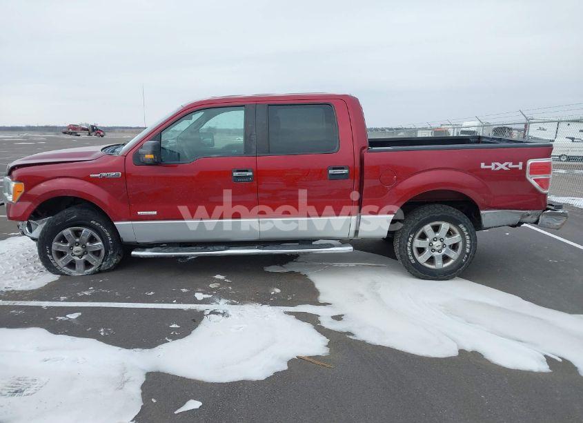Photo 14 of 2014 Ford F-150 XLT (VIN 1FTFW1ETXEKF07145)