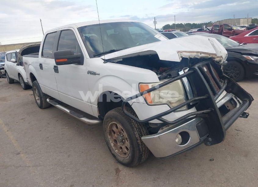 2010 Ford F-150 FX4/HARLEY-DAVIDSON/KING RANCH/LARIAT/PLATINUM/XL/XLT (VIN 1FTFW1EV0AFA06205) main photo