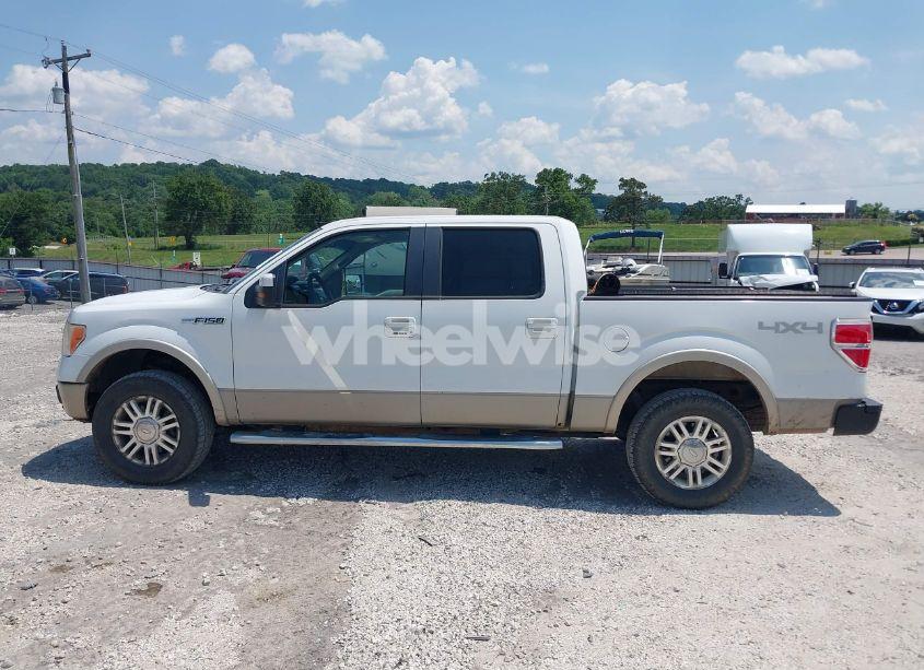 Photo 14 of 2010 Ford F-150 FX4/HARLEY-DAVIDSON/KING RANCH/LARIAT/PLATINUM/XL/XLT (VIN 1FTFW1EV0AFB39952)