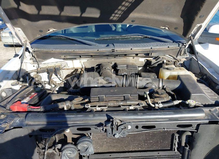 Photo 10 of 2010 Ford F-150 FX4/HARLEY-DAVIDSON/KING RANCH/LARIAT/PLATINUM/XL/XLT (VIN 1FTFW1EV0AFC14598)