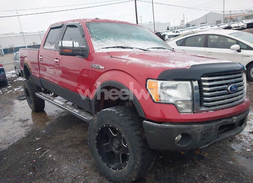 2010 Ford F-150 FX4/HARLEY-DAVIDSON/KING RANCH/LARIAT/PLATINUM/XL/XLT (VIN 1FTFW1EV0AFC59671) main photo