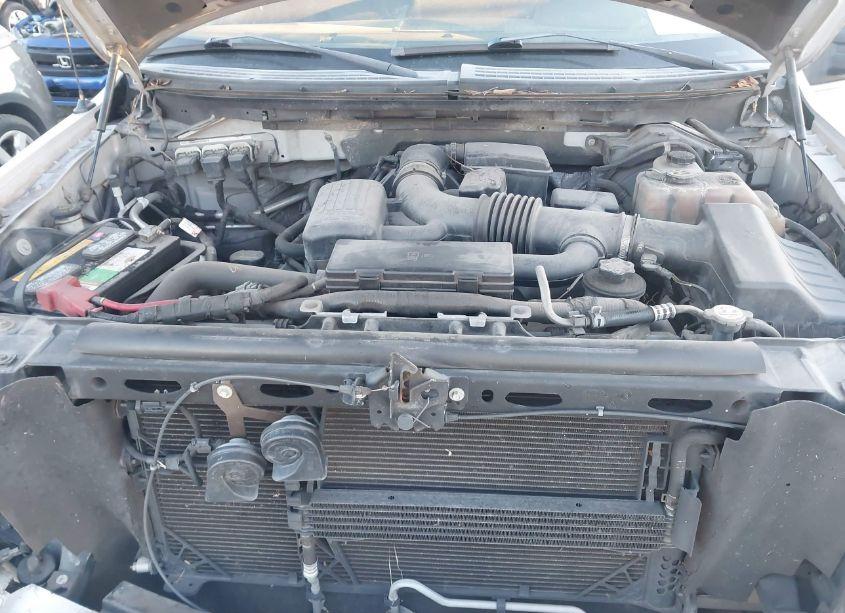 Photo 10 of 2010 Ford F-150 FX4/HARLEY-DAVIDSON/KING RANCH/LARIAT/PLATINUM/XL/XLT (VIN 1FTFW1EV0AFC60092)