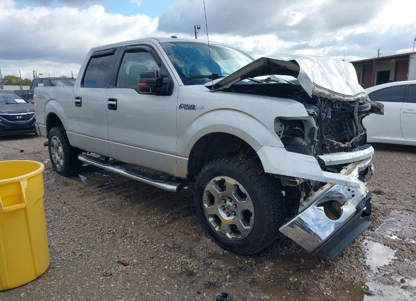 2010 Ford F-150 FX4/HARLEY-DAVIDSON/KING RANCH/LARIAT/PLATINUM/XL/XLT (VIN 1FTFW1EV0AFD08755) main photo