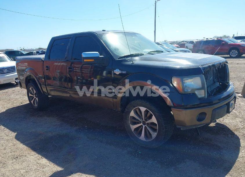 2010 Ford F-150 FX4/HARLEY-DAVIDSON/KING RANCH/LARIAT/PLATINUM/XL/XLT (VIN 1FTFW1EV0AKB05887) main photo