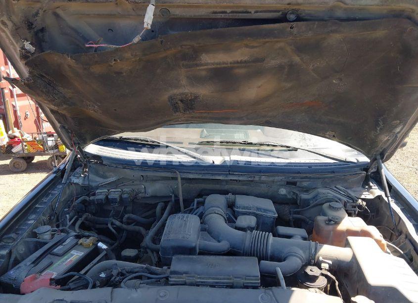 Photo 10 of 2010 Ford F-150 FX4/HARLEY-DAVIDSON/KING RANCH/LARIAT/PLATINUM/XL/XLT (VIN 1FTFW1EV0AKB05887)