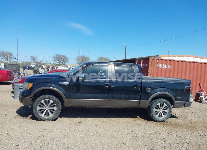 Photo 14 of 2010 Ford F-150 FX4/HARLEY-DAVIDSON/KING RANCH/LARIAT/PLATINUM/XL/XLT (VIN 1FTFW1EV0AKB05887)