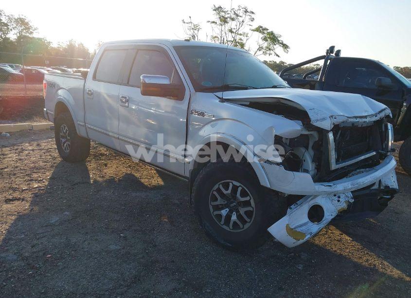 2010 Ford F-150 FX4/HARLEY-DAVIDSON/KING RANCH/LARIAT/PLATINUM/XL/XLT (VIN 1FTFW1EV1AFA35986) main photo