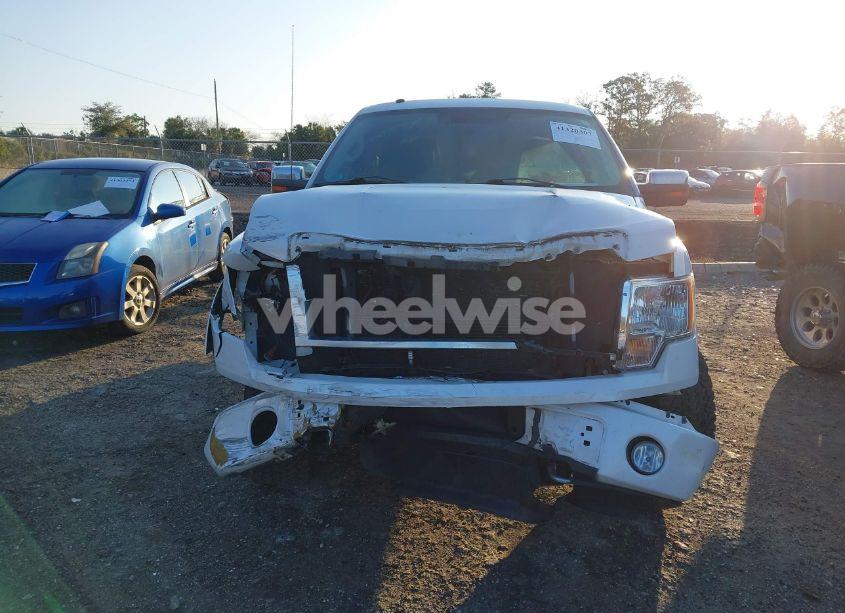 Photo 13 of 2010 Ford F-150 FX4/HARLEY-DAVIDSON/KING RANCH/LARIAT/PLATINUM/XL/XLT (VIN 1FTFW1EV1AFA35986)