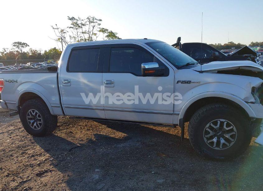 Photo 14 of 2010 Ford F-150 FX4/HARLEY-DAVIDSON/KING RANCH/LARIAT/PLATINUM/XL/XLT (VIN 1FTFW1EV1AFA35986)