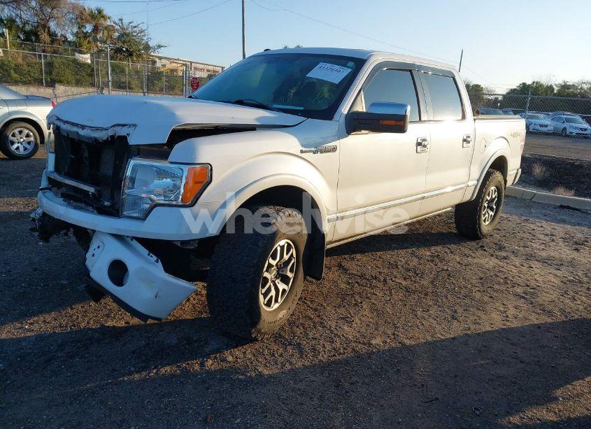 Photo 2 of 2010 Ford F-150 FX4/HARLEY-DAVIDSON/KING RANCH/LARIAT/PLATINUM/XL/XLT (VIN 1FTFW1EV1AFA35986)