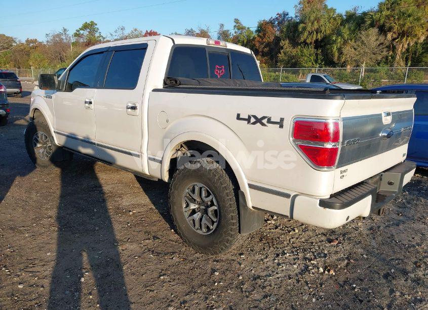 Photo 3 of 2010 Ford F-150 FX4/HARLEY-DAVIDSON/KING RANCH/LARIAT/PLATINUM/XL/XLT (VIN 1FTFW1EV1AFA35986)