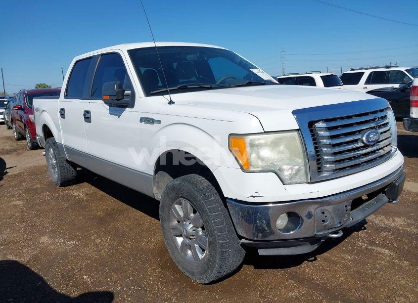 2010 Ford F-150 FX4/HARLEY-DAVIDSON/KING RANCH/LARIAT/PLATINUM/XL/XLT (VIN 1FTFW1EV1AFA51315) main photo