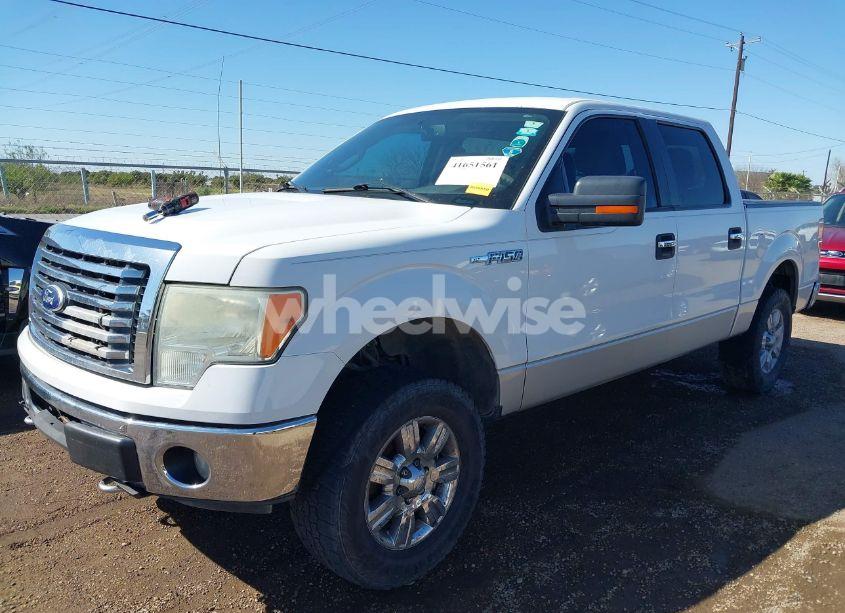 Photo 2 of 2010 Ford F-150 FX4/HARLEY-DAVIDSON/KING RANCH/LARIAT/PLATINUM/XL/XLT (VIN 1FTFW1EV1AFA51315)