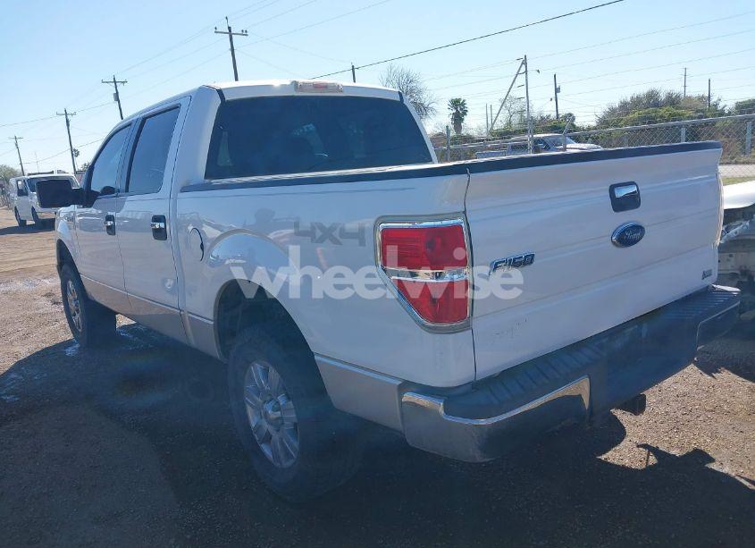 Photo 3 of 2010 Ford F-150 FX4/HARLEY-DAVIDSON/KING RANCH/LARIAT/PLATINUM/XL/XLT (VIN 1FTFW1EV1AFA51315)