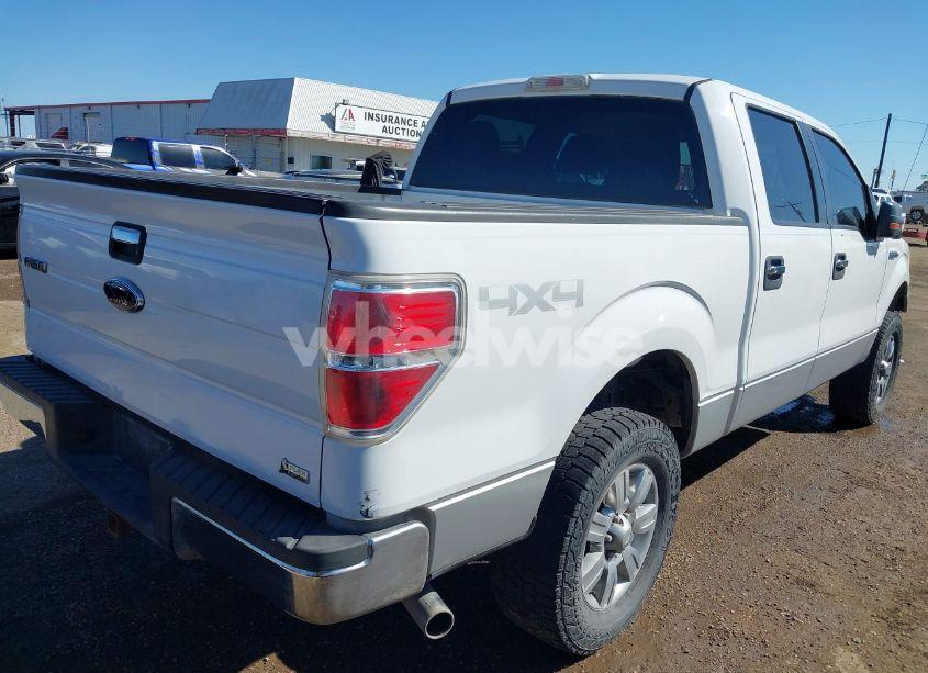 Photo 4 of 2010 Ford F-150 FX4/HARLEY-DAVIDSON/KING RANCH/LARIAT/PLATINUM/XL/XLT (VIN 1FTFW1EV1AFA51315)