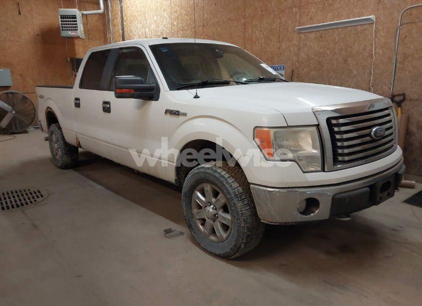 2010 Ford F-150 FX4/HARLEY-DAVIDSON/KING RANCH/LARIAT/PLATINUM/XL/XLT (VIN 1FTFW1EV1AFA95556) main photo