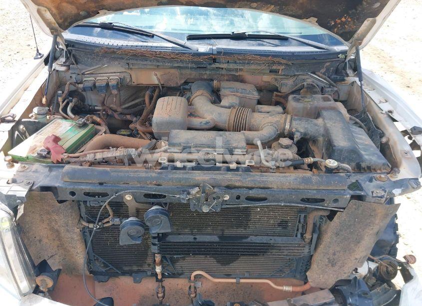 Photo 10 of 2010 Ford F-150 FX4/HARLEY-DAVIDSON/KING RANCH/LARIAT/PLATINUM/XL/XLT (VIN 1FTFW1EV1AFB59398)