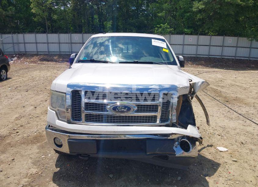 Photo 12 of 2010 Ford F-150 FX4/HARLEY-DAVIDSON/KING RANCH/LARIAT/PLATINUM/XL/XLT (VIN 1FTFW1EV1AFB59398)