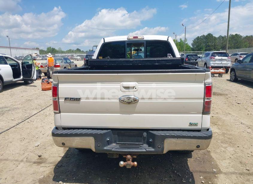 Photo 16 of 2010 Ford F-150 FX4/HARLEY-DAVIDSON/KING RANCH/LARIAT/PLATINUM/XL/XLT (VIN 1FTFW1EV1AFB59398)